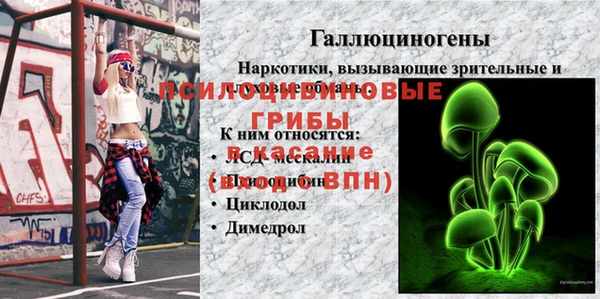 меф Белокуриха