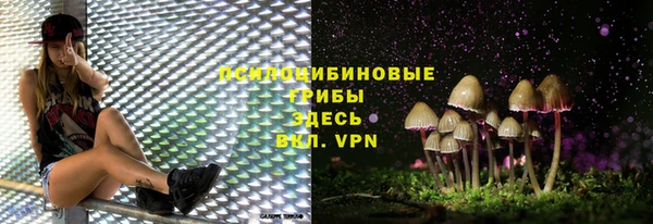 меф Белокуриха